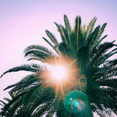 AG大厅网址下载手机版截图