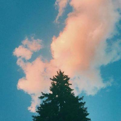 49图库资料免费大全资料澳门下载手机版