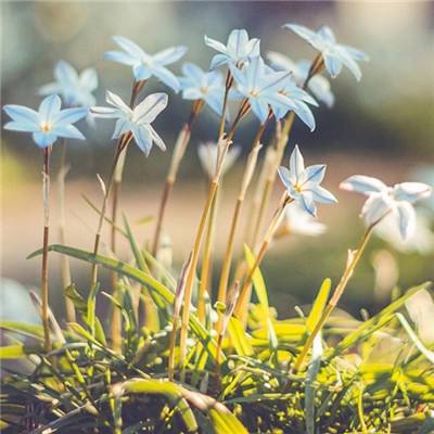 新188app官网下载