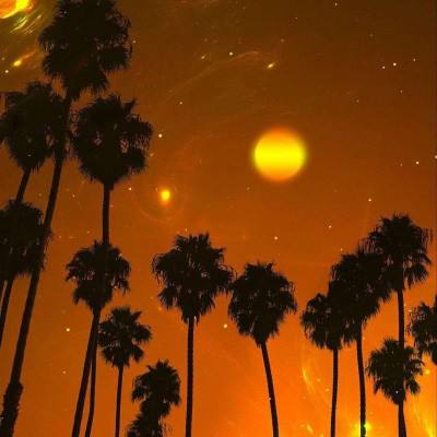 leyu·乐鱼(中国)体育app下载