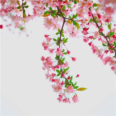 best365官网登录入口